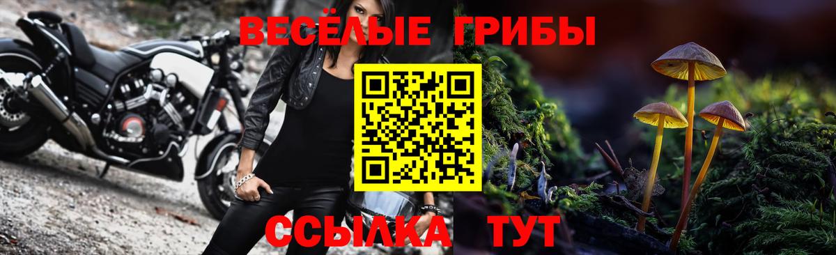 Галлюциногенные грибы прущие грибы  Вход с VPN  сколько стоит  Псилоцибиновые грибы прущие грибы  Качканар 